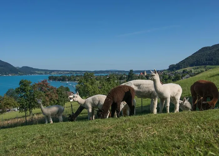 Gaigg * Weyregg am Attersee